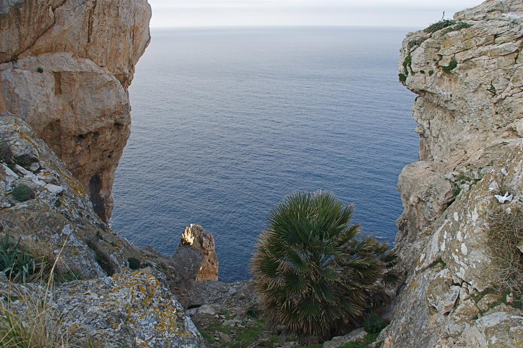 El Encinar De Maison d'hôtes 4*